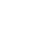 bluvo digital icon 11