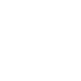 google-ads bluvo digital icon