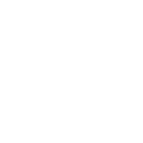 meta-ads bluvo digital icon